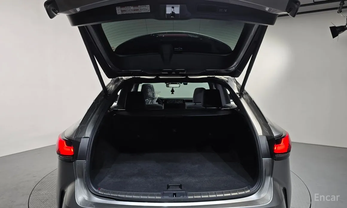 Lexus RX 2023 Luxury