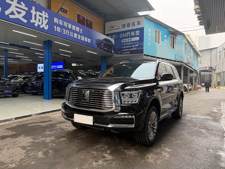 Tank 500 2023 2023款 3.0T 运动版 登峰型 5座