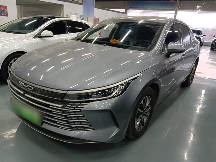 BYD Destroyer 05 2024 2024款 荣耀版 DM-i 55KM 豪华型