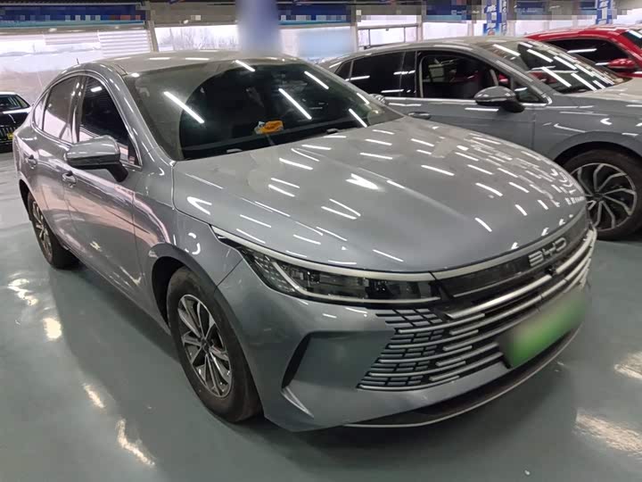 BYD Destroyer 05 2024 2024款 荣耀版 DM-i 55KM 豪华型