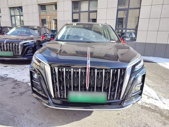 Hongqi HS3 Hybrid 2025 2025款 125km 劲为 200万辆纪念版