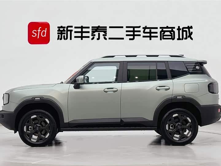 Jetour Freedom 2025 2025款 2.0TD XWD征服