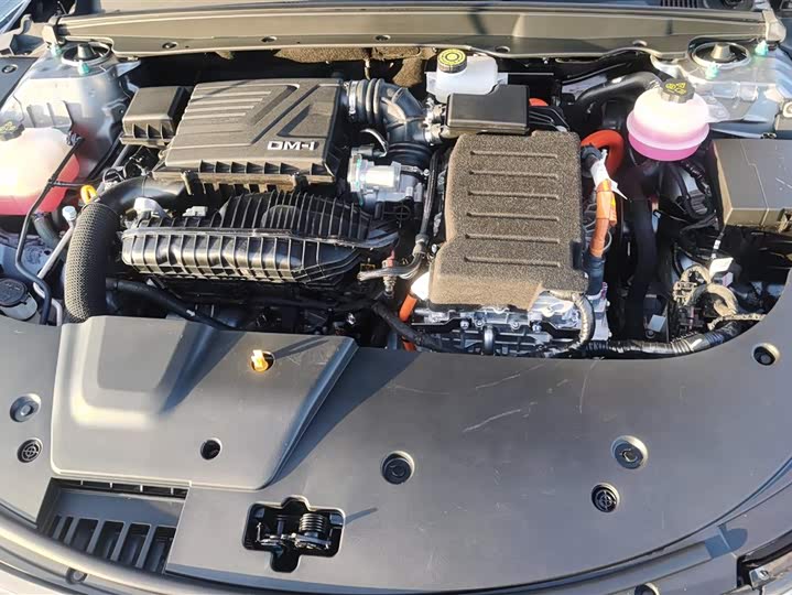 BYD Destroyer 05 2024 2024款 荣耀版 DM-i 55KM 豪华型