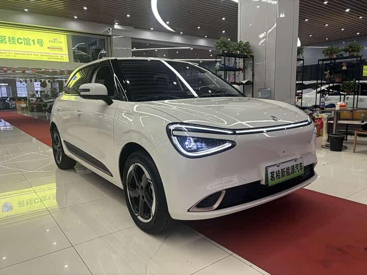 Dongfeng Nammi 01 2024 2024款 焕新版 430 Plus智+
