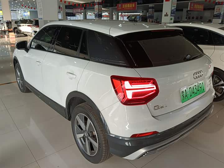 Audi Q2L e-tron 2019 2019款 Q2L e-tron 纯电智享型
