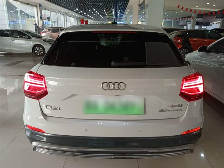 Audi Q2L e-tron 2019 2019款 Q2L e-tron 纯电智享型