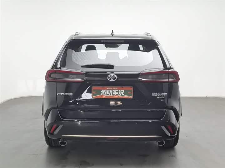 Toyota Wildlander 2024 2024款 2.0L CVT四驱豪华PLUS版