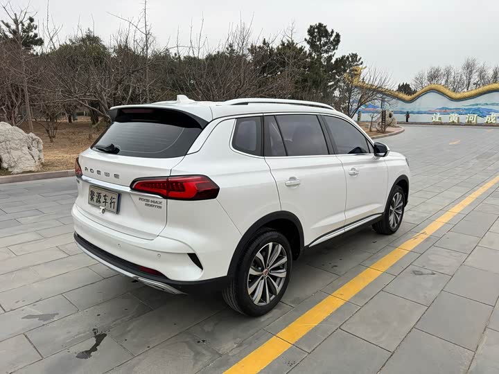 Roewe RX5 Max 2019 2019款 300TGI 自动4G互联豪华版