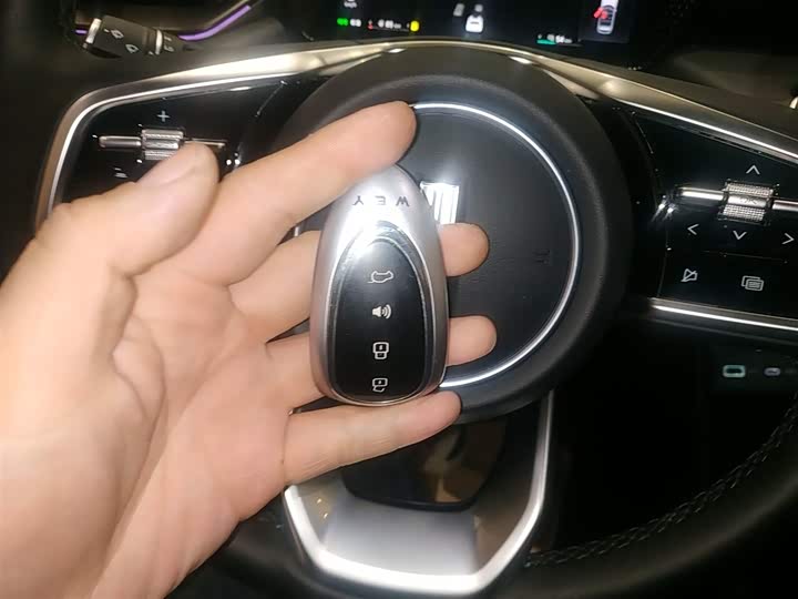 Wey Mocca Hybrid 2024 2024款 Hi4 四驱长续航版