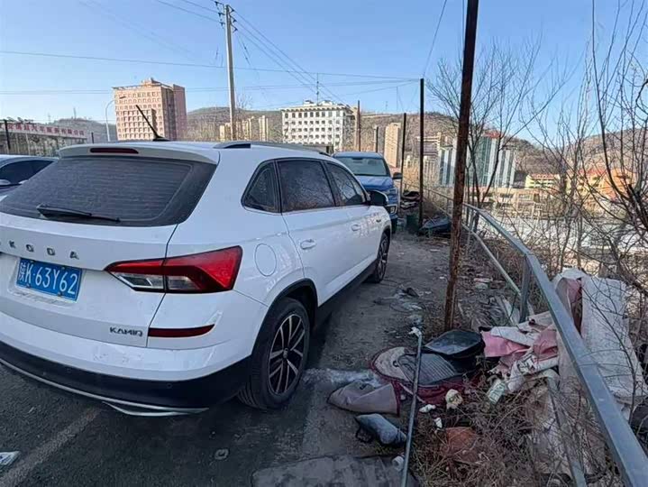 Skoda Kamiq 2022 2022款 1.5L 自动舒享版