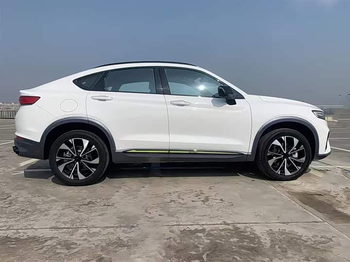 Geely Tugella S 2021 2021款 2.0TD DCT两驱雷霆版
