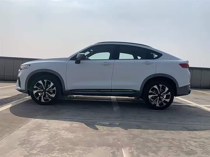 Geely Tugella S 2021 2021款 2.0TD DCT两驱雷霆版