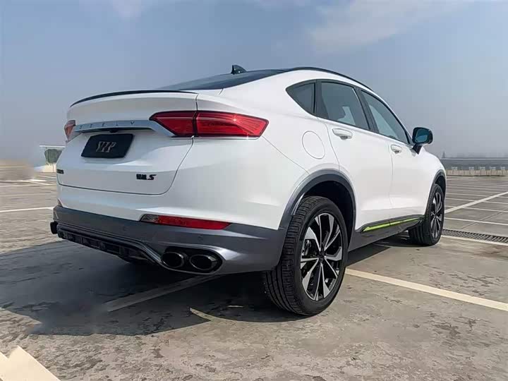 Geely Tugella S 2021 2021款 2.0TD DCT两驱雷霆版