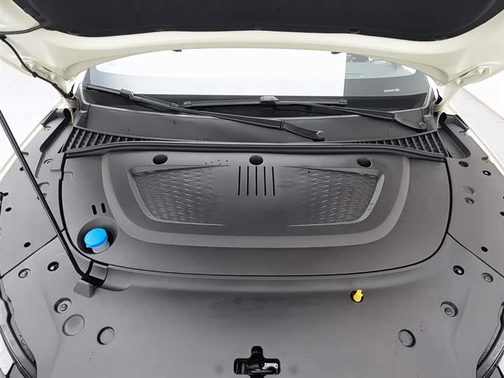 BYD Yuan Plus 2025 2025款 智驾版 510KM 超越型