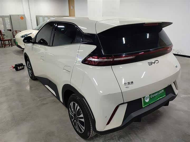 BYD Seagull 2025 2025款 305km 活力版