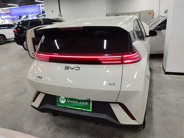 BYD Seagull 2025 2025款 305km 活力版