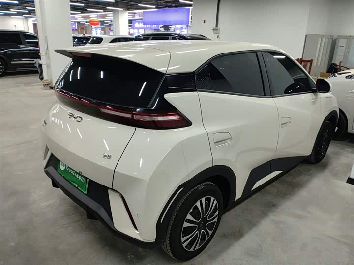 BYD Seagull 2025 2025款 305km 活力版