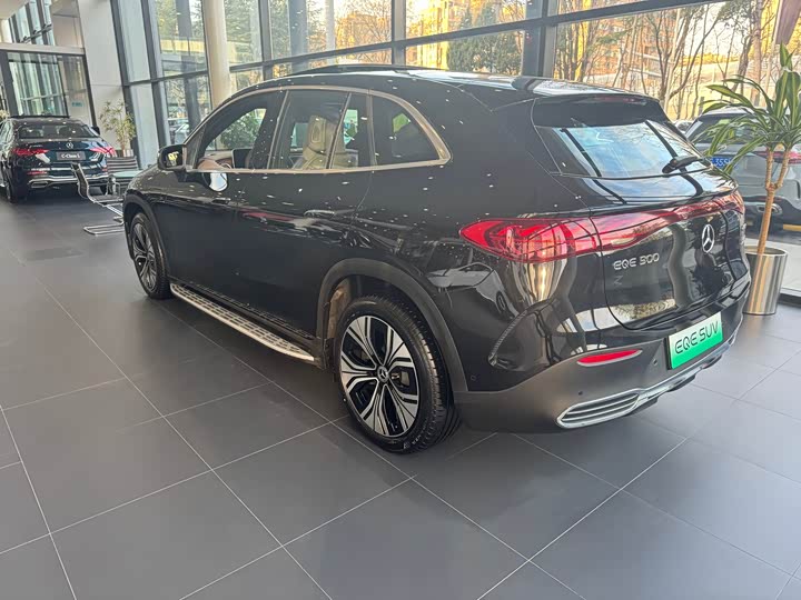 Mercedes-Benz EQE SUV 2024 2024款 500 4MATIC 先锋版