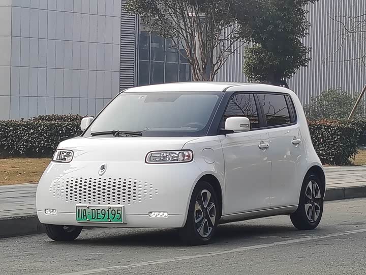 Ora White Cat 2020 2020款 305km 豪华型