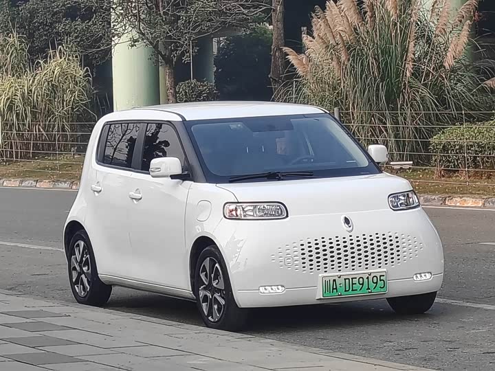 Ora White Cat 2020 2020款 305km 豪华型