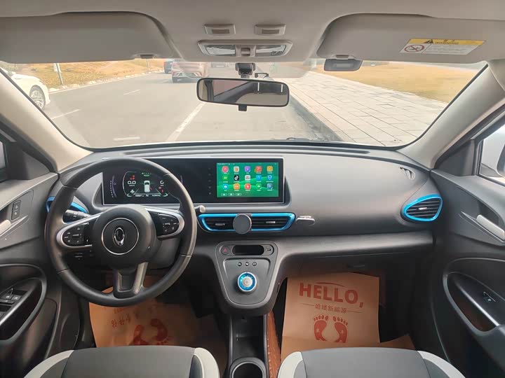 Ora White Cat 2020 2020款 305km 豪华型