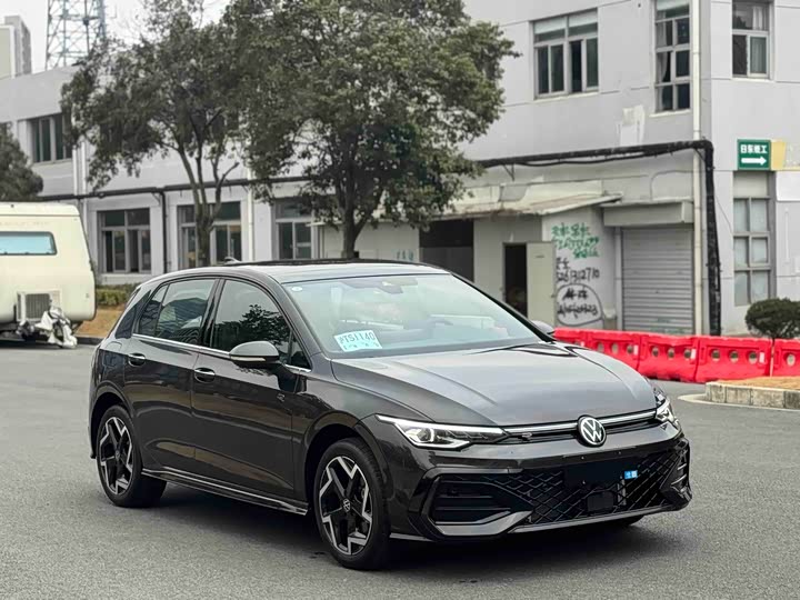 Volkswagen Golf 2025 2025款 300TSI R-Line