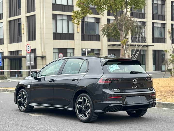 Volkswagen Golf 2025 2025款 300TSI R-Line