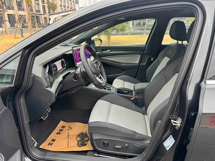 Volkswagen Golf 2025 2025款 300TSI R-Line