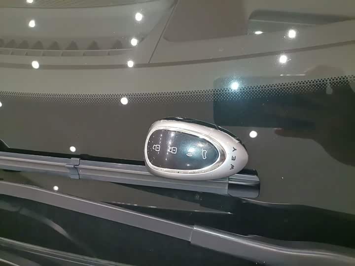 Wey Mocca Hybrid 2024 2024款 Hi4 四驱长续航版