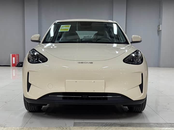 Geely Galaxy Geome 2026 2026款 310km 青春版