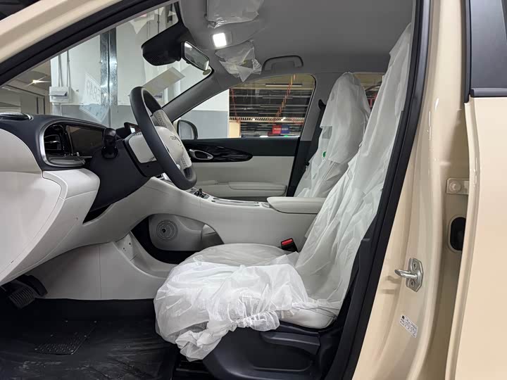 Geely Galaxy Geome 2026 2026款 310km 青春版