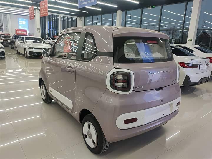 Bestune Pony 2026 2026款 222km 炫彩马