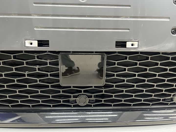 Land Rover Discovery Sport 2024 2024款 性能科技版