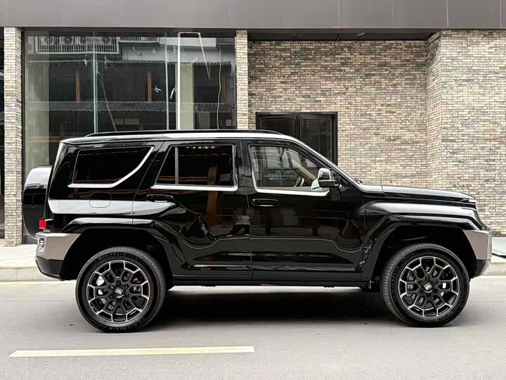 Tank 700 Hybrid 2024 2024款 Hi4-T 极境版