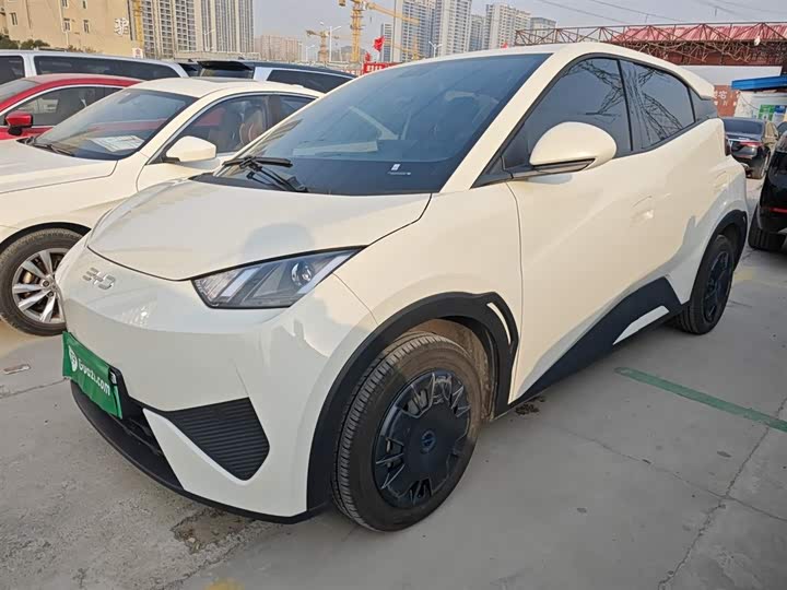 BYD Seagull 2025 2025款 智驾版 305km 活力版