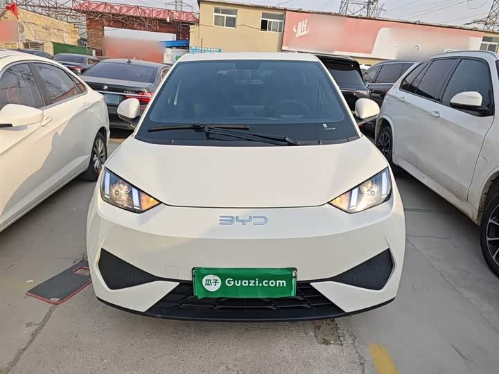 BYD Seagull 2025 2025款 智驾版 305km 活力版