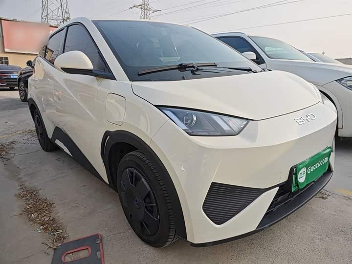 BYD Seagull 2025 2025款 智驾版 305km 活力版