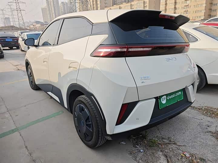 BYD Seagull 2025 2025款 智驾版 305km 活力版