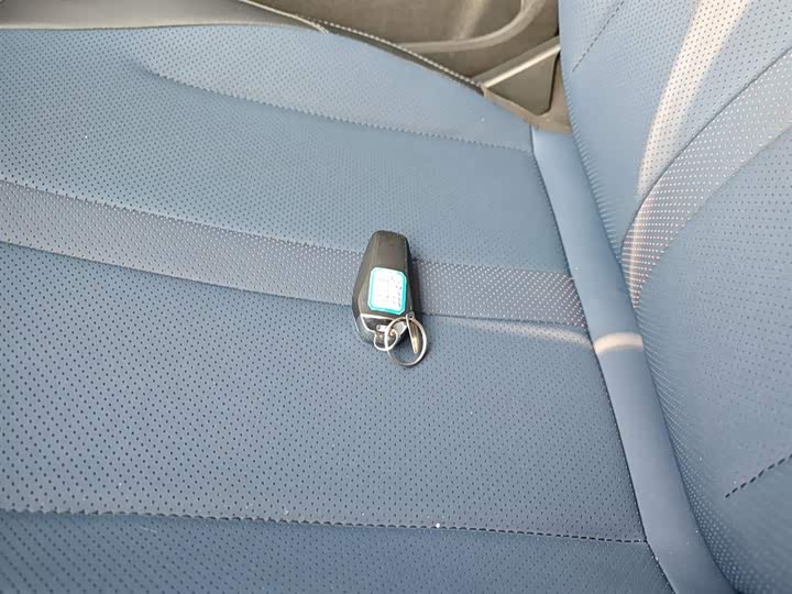 BYD Seagull 2025 2025款 智驾版 305km 活力版