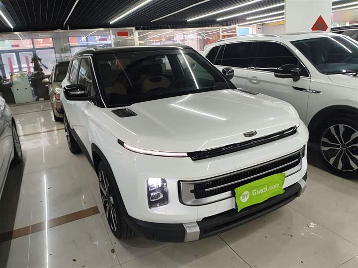 Geely Icon 2023 2023款 1.5TD 巧克力醇巧版