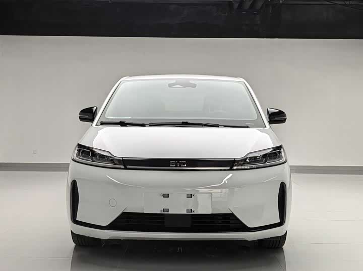 BYD D1 2022 2022款 舒适版
