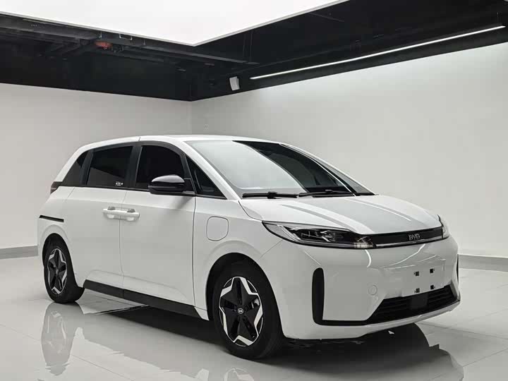 BYD D1 2022 2022款 舒适版
