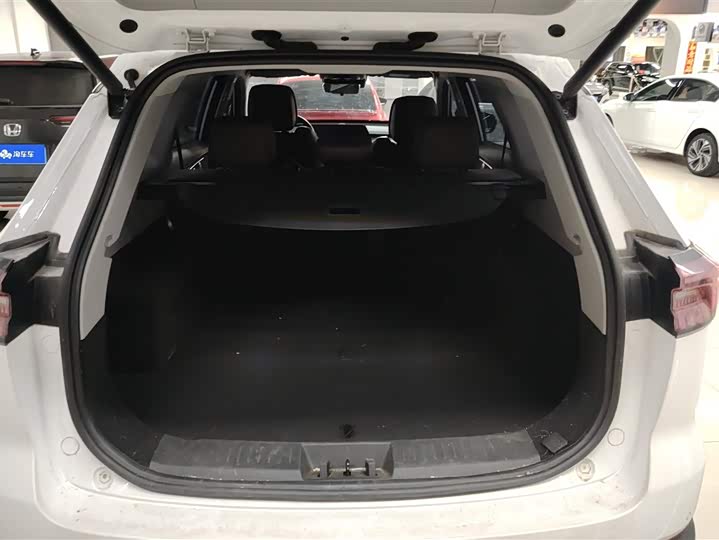 Chery Tiggo 8 Pro 2024 2024款 冠军版 290T 两驱巅峰版 5座