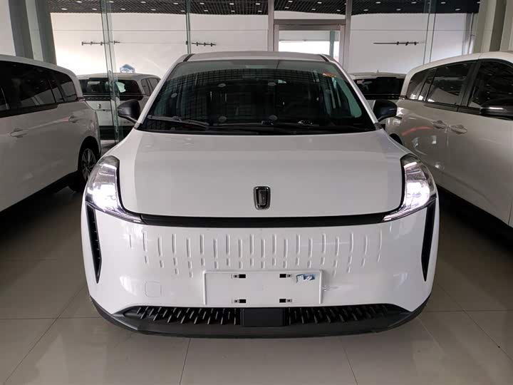 Bestune NAT 2023 2023款 PRO 舒享出行版 419km