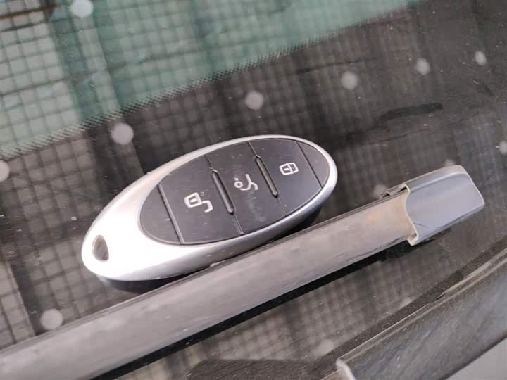 Bestune NAT 2023 2023款 PRO 舒享出行版 419km