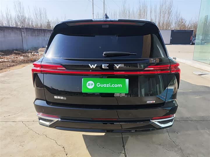 Wey Lanshan 2025 2025款 四驱智驾 Max