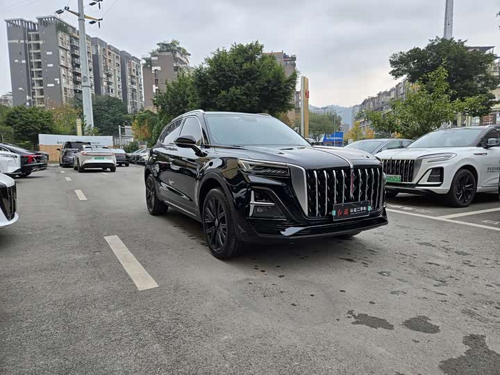 Hongqi HS5 2025 2025款 2.0T 两驱60万辆纪念版