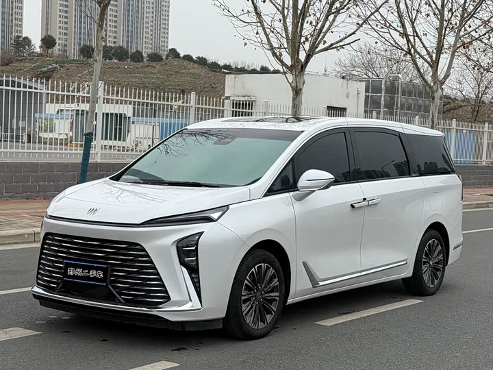 Buick GL8 ES 2025 2025款 陆尊 尊享版