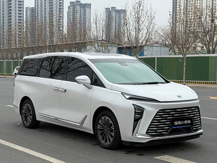 Buick GL8 ES 2025 2025款 陆尊 尊享版