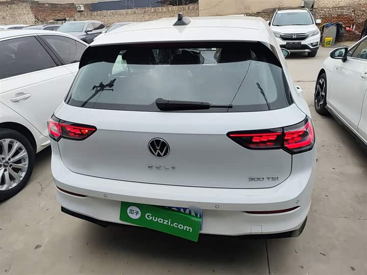 Volkswagen Golf 2025 2025款 300TSI R-Line